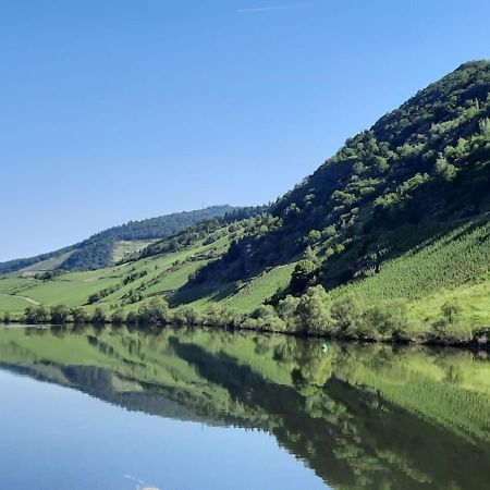 Ferienwohnung Roter Riesling Zell Buitenkant foto