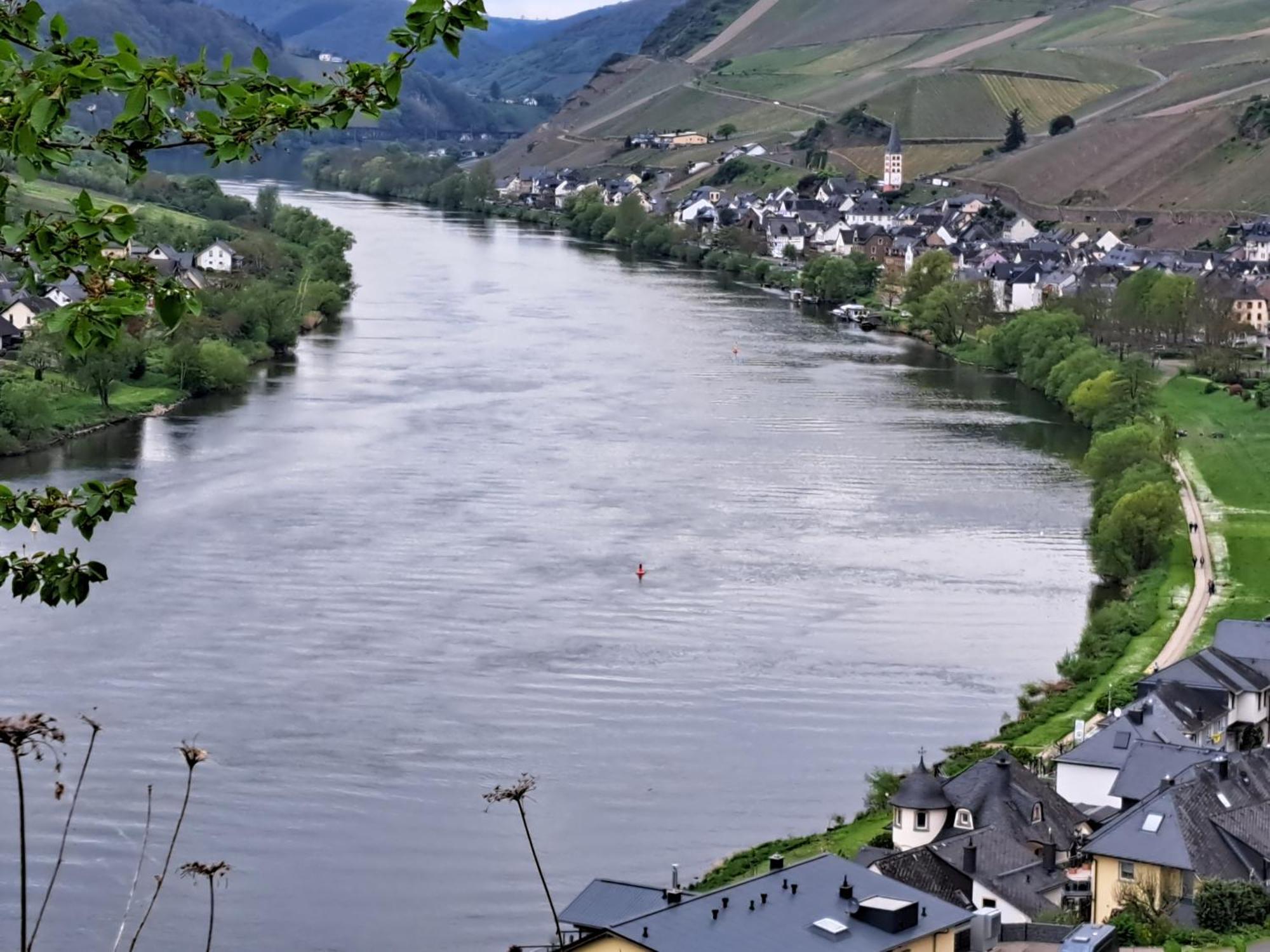 Ferienwohnung Roter Riesling Zell Buitenkant foto