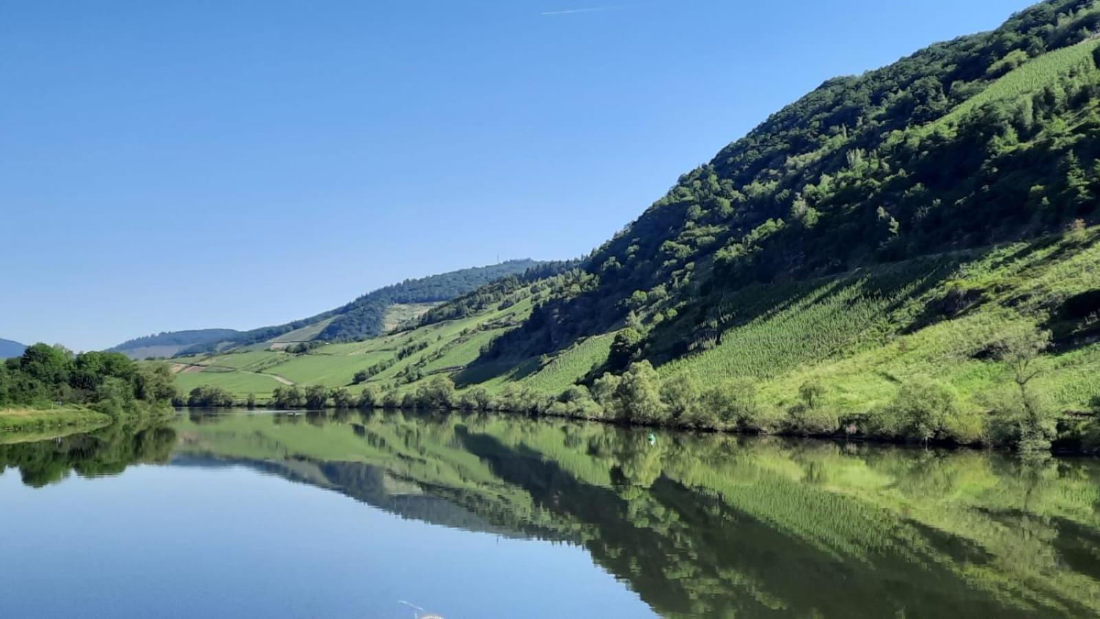 Ferienwohnung Roter Riesling Zell Buitenkant foto
